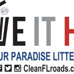 FDOT_Drive it Home_Logo_Color